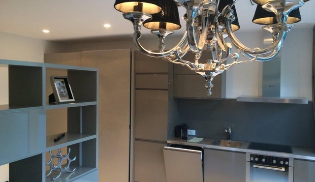 Apartment - stylishly furnished near the lake