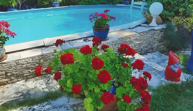 Apartment 'Suite Marie Avec Climatisation' with Shared Pool, Wi-Fi and Air Conditioning