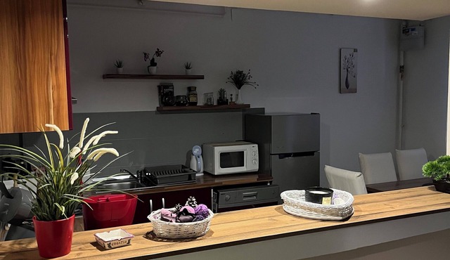 Apartment T&M Zagreb Airport
