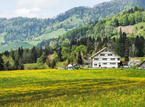 Apartment Verschlafen- in sanfte Hügel eingebettet- by Interhome