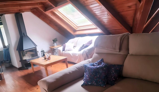Apartment Vielha, 3 bedrooms, 7 persons