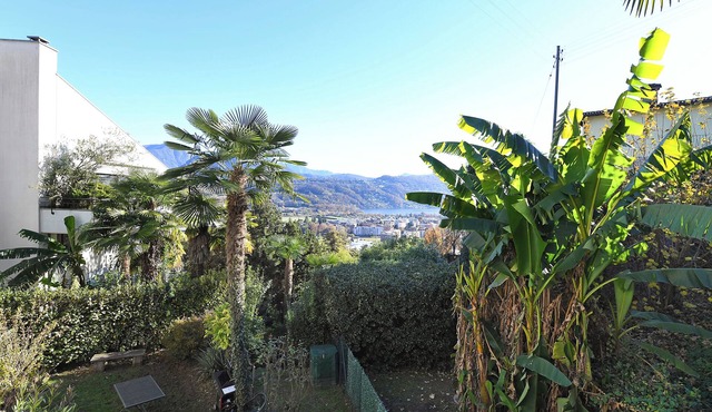 Apartment View And Pool