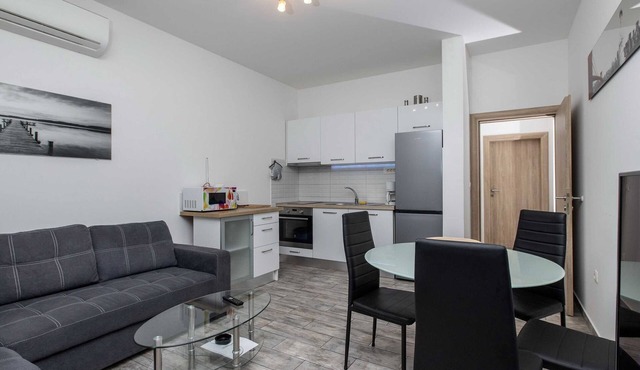 Apartment Villa Andelka with Swimming Pool