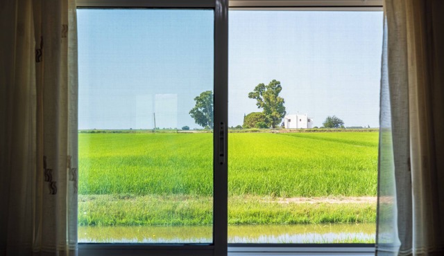 Apartment Villa Manoli within the Natural Park of Ebro Delta