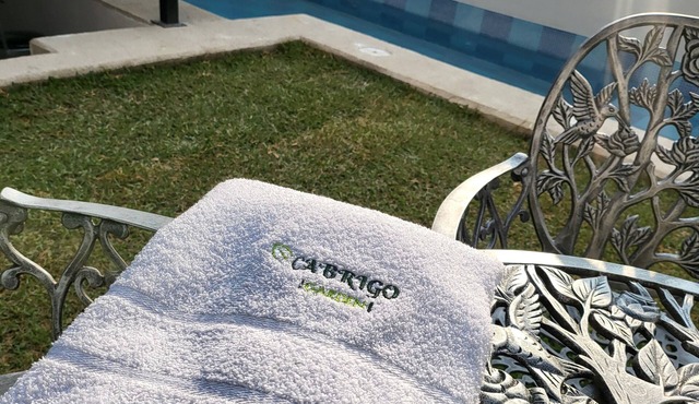 APARTMENT WITH PRIVATE POOL, GARDEN AND BAR