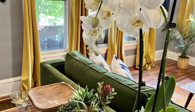 Apartment with a boho, relaxed and soulful vibe in the heart of Highland Square.