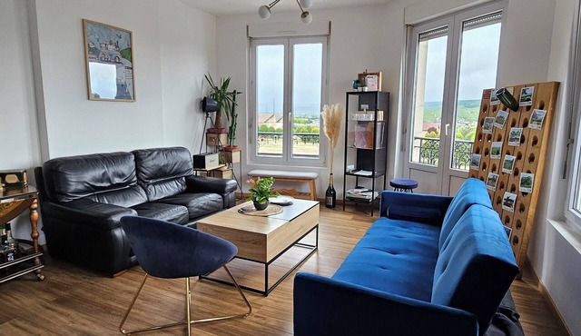 Apartment with breathtaking vineyard views in Epernay