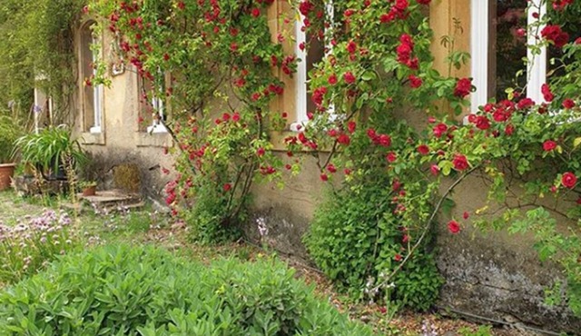 Apartment with character