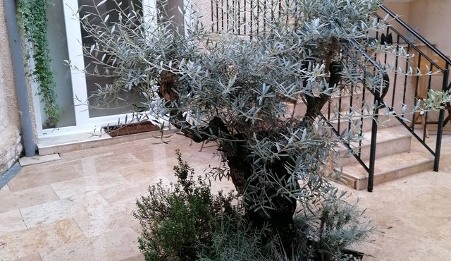 APARTMENT WITH CLIM, Fiber and GARAGE