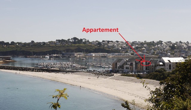 Apartment with sea view and pets welcome