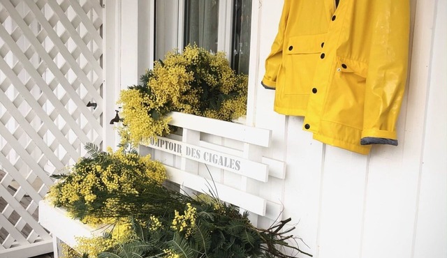 APARTMENT WITH GARDEN on the peninsula of Cap Ferret