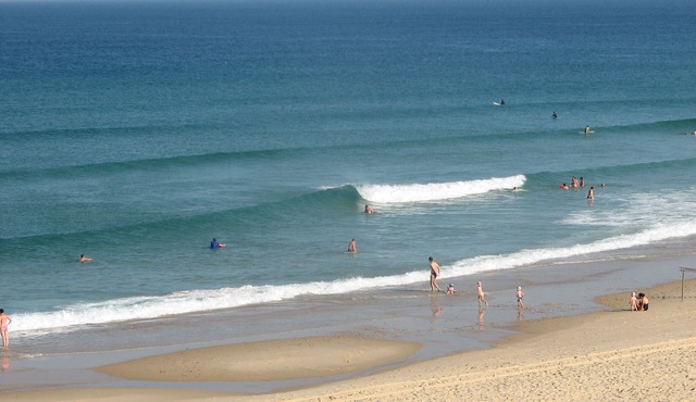 Apartment with garden