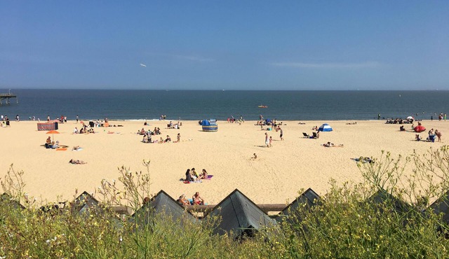 Apartment with Garden View - Moray Garden View at Moray Beachside Apartments