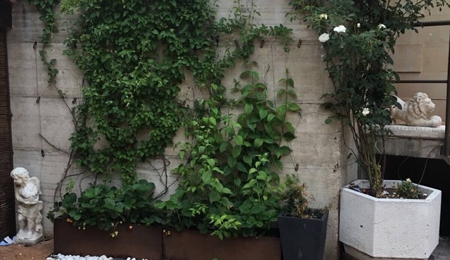 APARTMENT WITH GARDEN