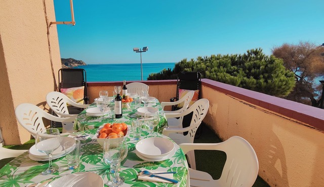 Apartment with garden at 11 meters from the sand beach of la Fosca.