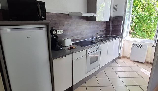 Apartment with garden in Colmar