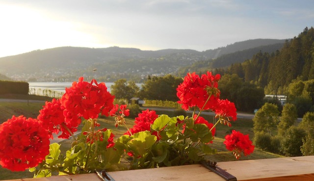 Apartment with lake view in residence