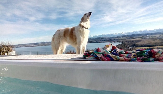 Apartment with large terrace, lake & mountain view