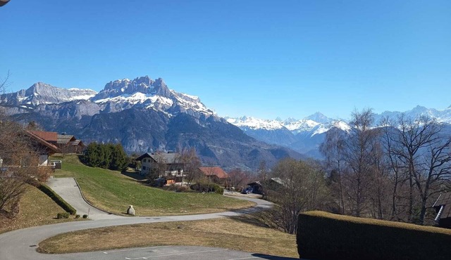 Apartment with Mont Blanc view, terrace and garage