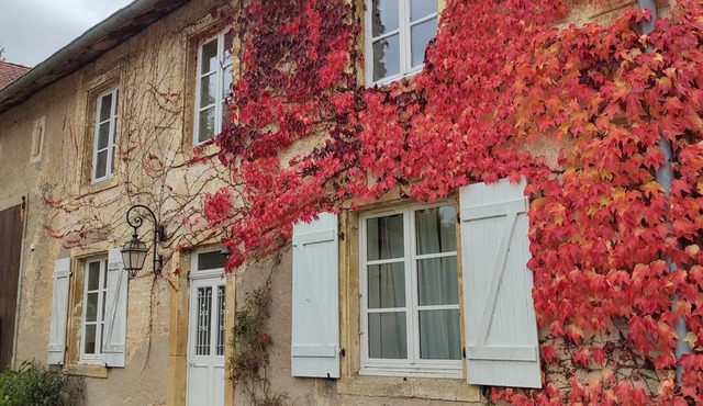 Apartment with old-world charm