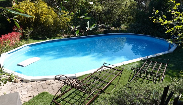 Apartment with private pool surrounded by vegetation