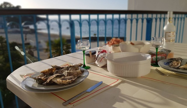 Apartment with sea view and swimming pool Finistère