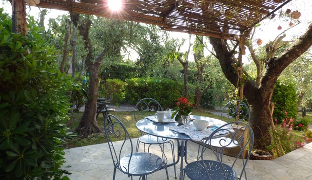 Apartment with swimming pool near Grasse, the city of perfumes (06)