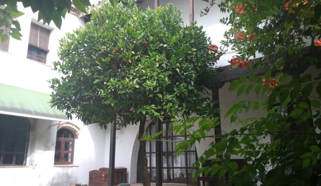 APARTMENT WITH TERRACE-SOLARIUM AND OWN PATIO, PATIO DEL LIMONERO
