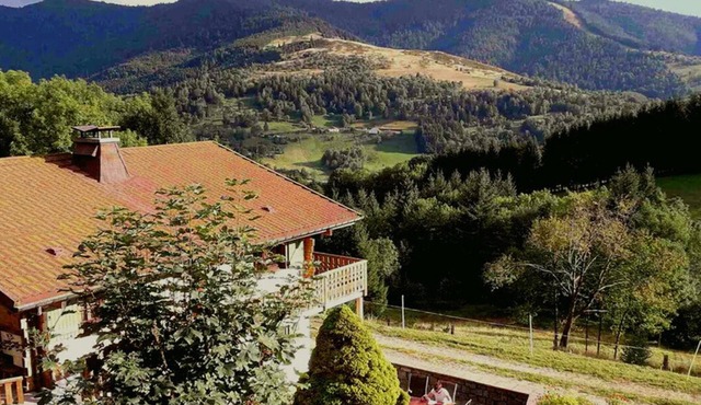 Apartment with terrace in chalet