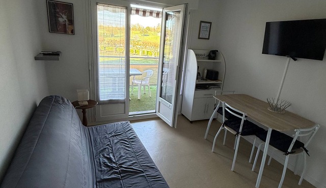 Apartment with WIFI and Pets Allowed, Near Thermal Baths in La Roche-Posay