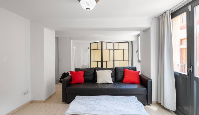 Apartment 'Wonderful Loft Centre' with Balcony, Wi-Fi and Air Conditioning