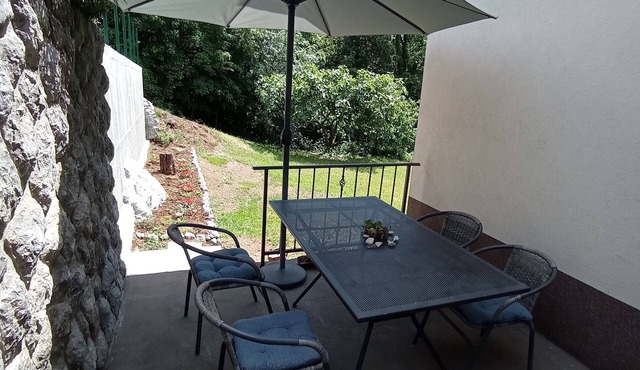 Apartment Zlatko (37912-A1) - Matulji