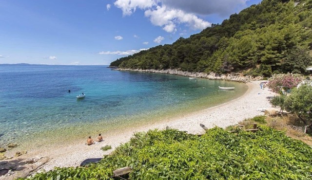 Apartments Željko (46931-A3) - Gdinj - island Hvar