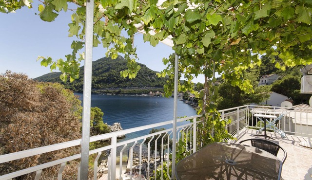 Apartments and Rooms Nike (50271-A2) - Sobra - island Mljet