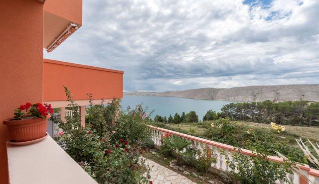 Apartments Andelo II (23932-A3) - Vlasici - island Pag