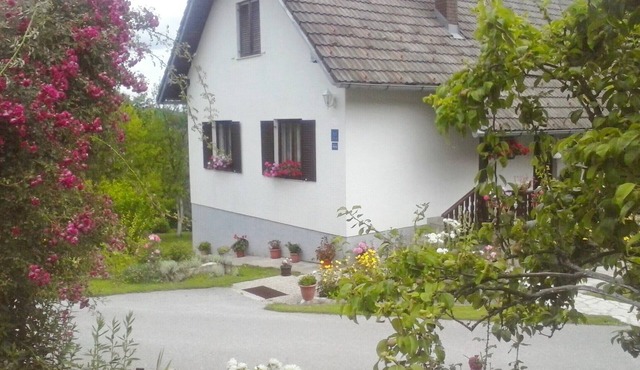 Apartments and rooms Stipe, (10194), Poljanak, Plitvicka Jezera, hr