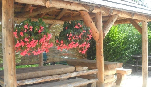 Apartments and rooms Ivanka, (13914), Rakovica, hr