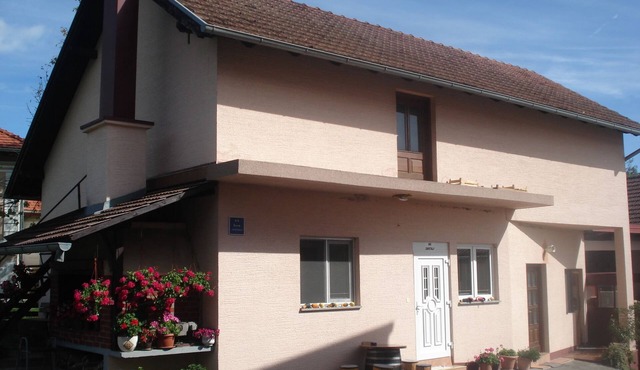Apartments and Rooms Pavek