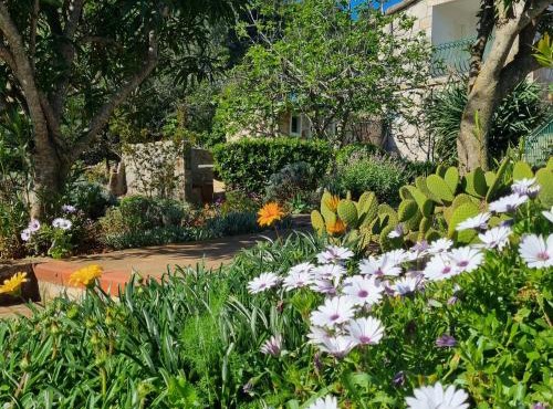 Apartments Basina rated EXCEPTIONAL