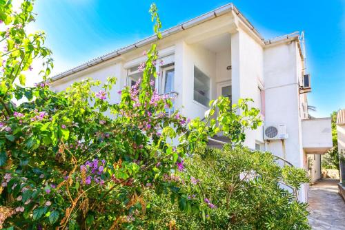 Apartments Breza