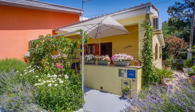 Apartments by the sea Artatore, Losinj - 7952