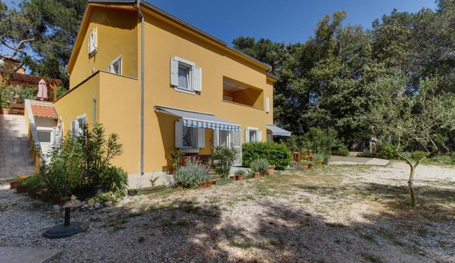Apartments by the sea Artatore, Losinj - 8022