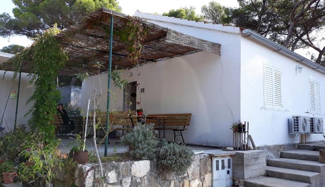 Apartments by the sea Cove Blaca, Mljet - 4899