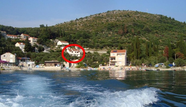 Apartments by the sea Sladjenovici, Dubrovnik - 11531