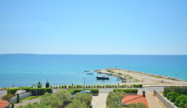 Apartments Daniela Della (58081-A4) - Novalja - island Pag