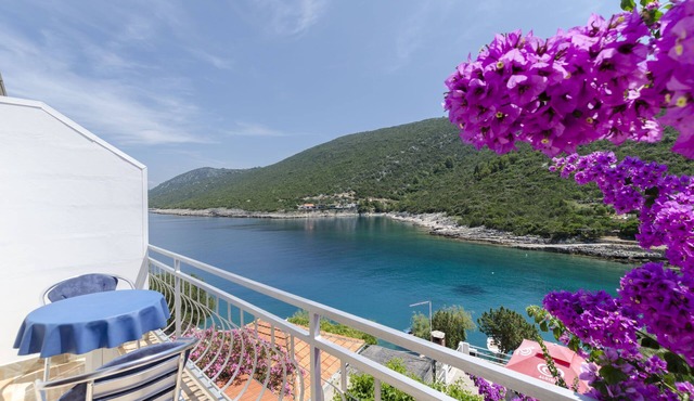 Apartments Dinko (37851-A2) - Gdinj - island Hvar