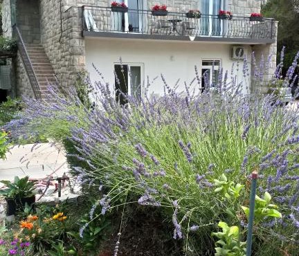 Apartments Duras