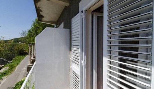 Apartments Felix Mljet - One Bedroom Apartment with Balcony (Marijana)
