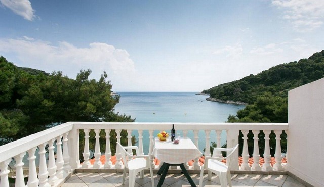 Apartments Franka Saplunara-One-Bedroom Apartment with Terrace and Sea View No1