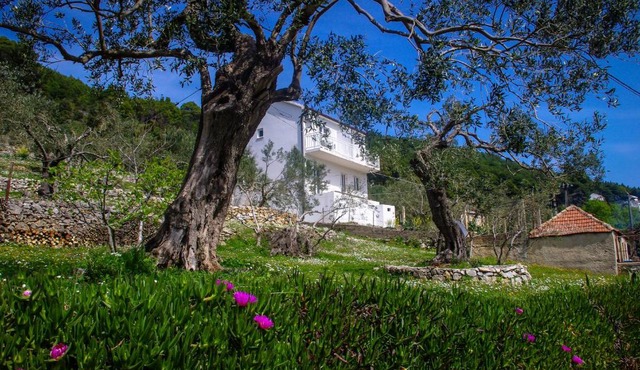Apartments Frano Ropa